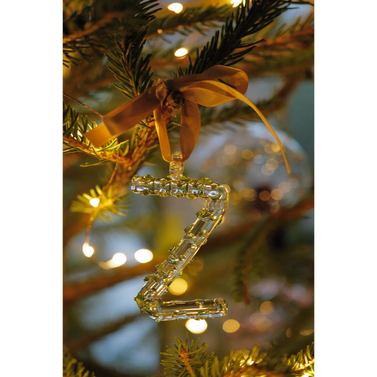 Alphabet_Ornaments_Z-2